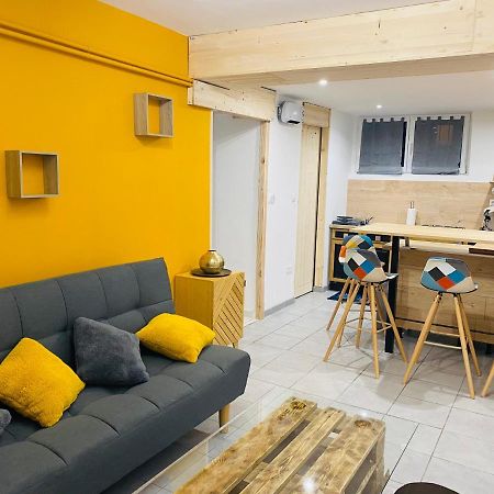 Studio 40M2 Plein Pied Avec Parking Jussac Bagian luar foto