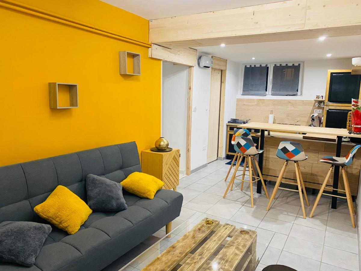 Studio 40M2 Plein Pied Avec Parking Jussac Bagian luar foto