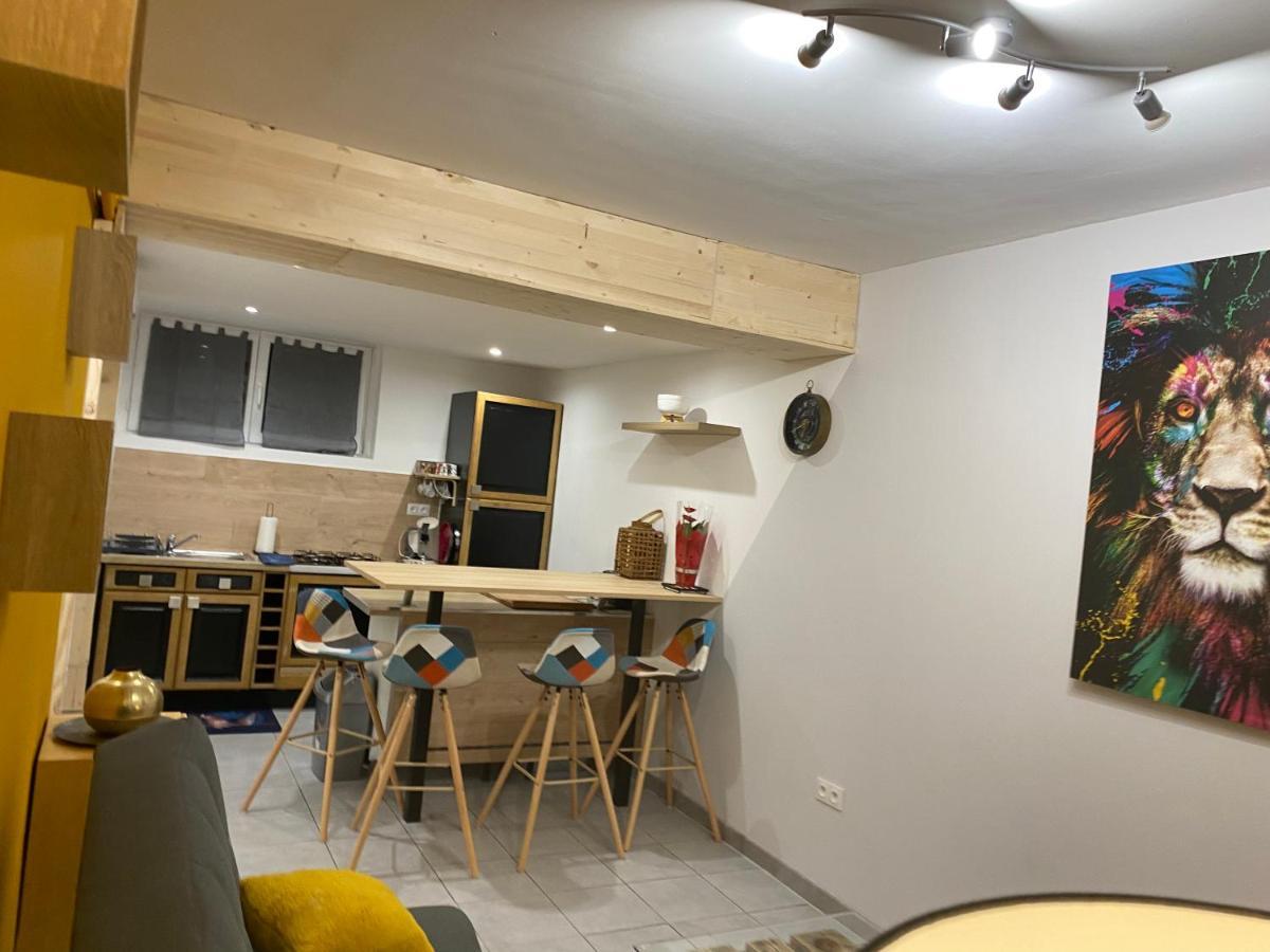 Studio 40M2 Plein Pied Avec Parking Jussac Bagian luar foto