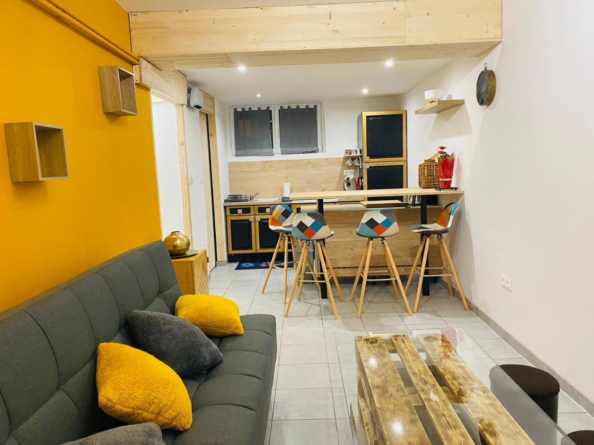Studio 40M2 Plein Pied Avec Parking Jussac Bagian luar foto