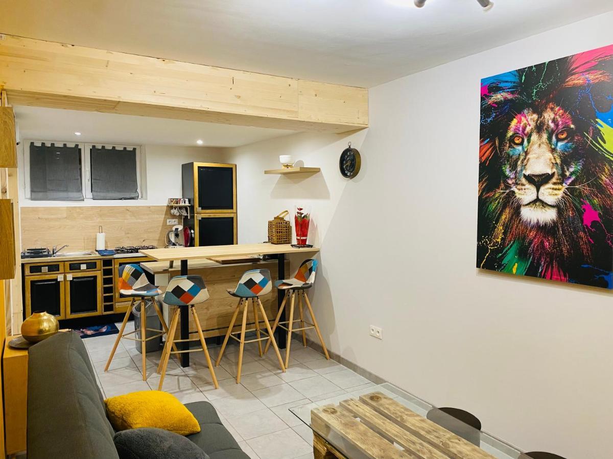 Studio 40M2 Plein Pied Avec Parking Jussac Bagian luar foto